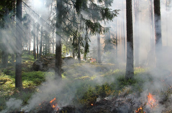 В Украине до 27 сентября сохранится наивысший уровень пожарной опасности