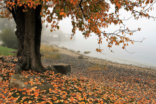 На западе Украине 1 ноября ночью и утром ожидается туман
