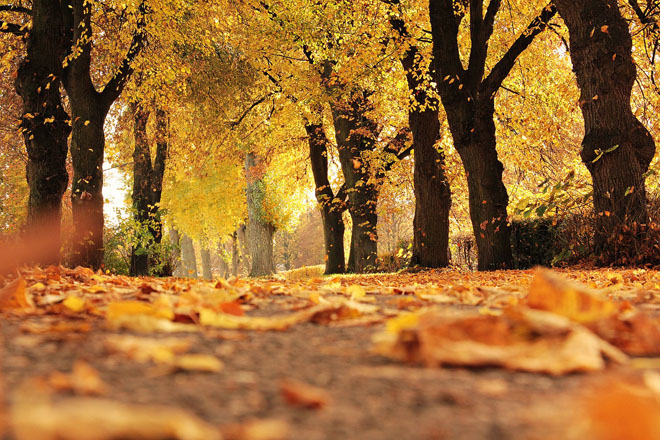 В Украине 12 октября установится сухая и солнечная погода
