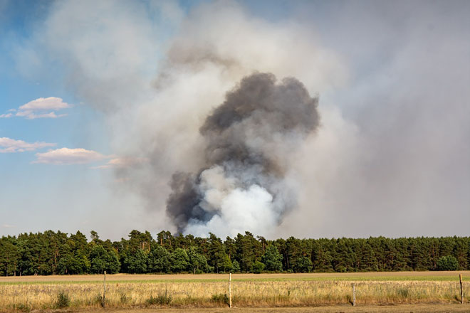 В 13-ти областях Украины 15-18 октября ожидается пожарная опасность наивысшего уровня