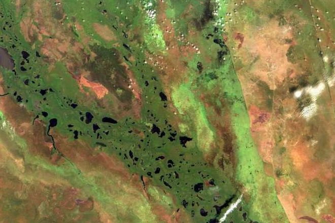 Ученые обнаружили болото в Африке, которое выделяет треть всего метана на планете