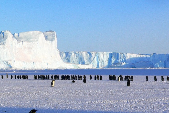 В Антарктиде отмечено самое большое таяние льда за 50 лет