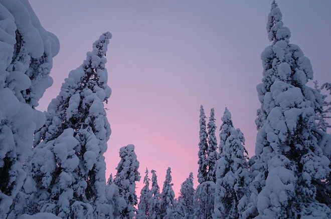 Рекордные снегопады на севере Финляндии принесли около 90 см снега