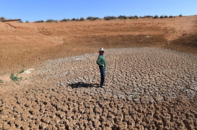 Засуха в Австралии поставила популяцию утконосов под угрозу исчезновения