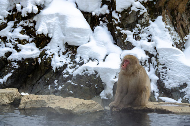 Из-за беспрецедентной нехватки снега в Японии закрываются горнолыжные курорты