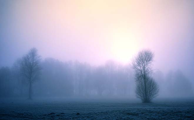 Киевлян предупреждают о тумане утром 21 февраля