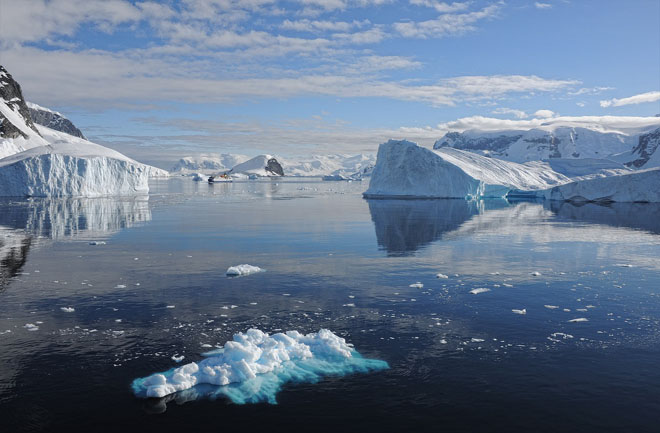 В Антарктике впервые за всю историю зафиксировали +20,75 °С