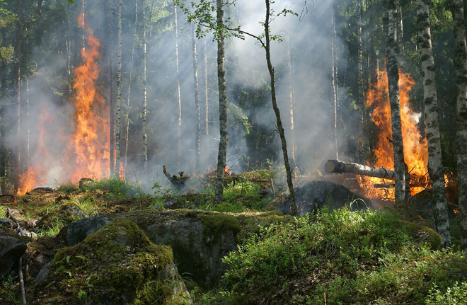 В ряде областей Украины 1 мая сохранится чрезвычайная пожароопасность
