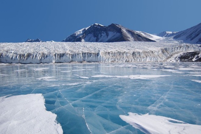 Ученые открыли, что часть Антарктиды раньше была покрыта тропическими лесами