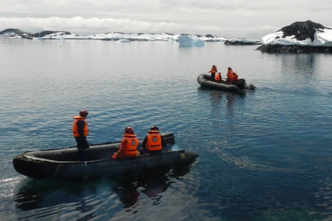 В Антарктике впервые обнаружены мидии