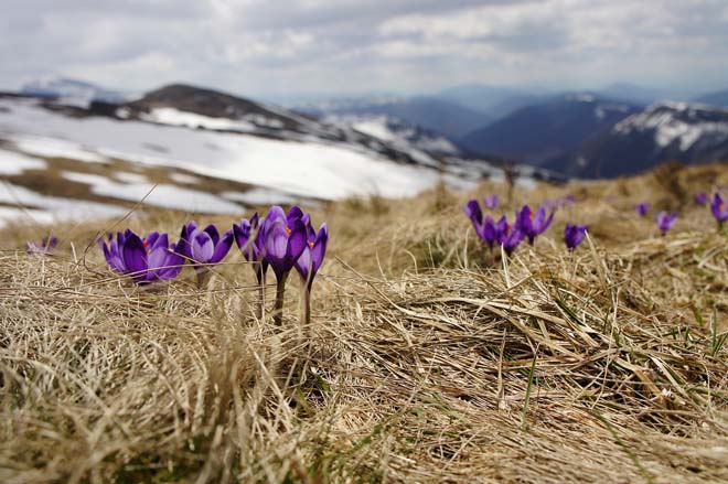 В горах на западе Украины 11 апреля ожидается лавинная опасность 3 уровня