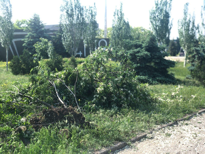По Бердянску пронесся ураган: повалены деревья, повреждены дома