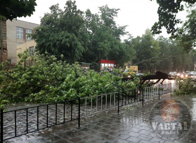 Непогода во Львове: затоплены улицы, повалены деревья, оборваны провода