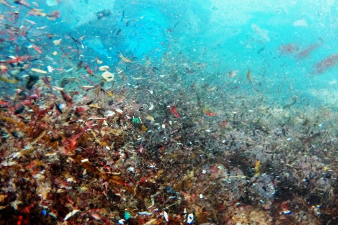 Более 200 тыс. тон микропластика с автомобильных шин ежегодно попадает в океан
