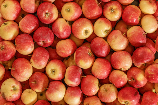 Цены на яблоки резко "упали": названа причина 