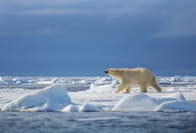 Арктический архипелаг Шпицберген пережил самый жаркий день за всю историю 