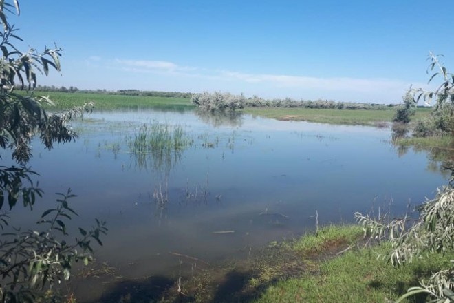 После дождей на реках Украины будет наблюдаться подъем уровней воды