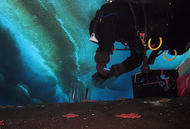 Возле Антарктиды происходит подводная утечка метана 