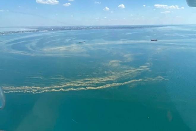 Купаться не рекомендуется: Черное море у побережья Одессы заполонили цианобактерии
