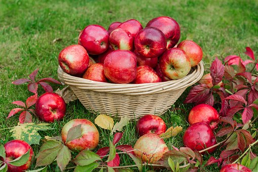 Цены на яблоки резко "упали": названа причина 