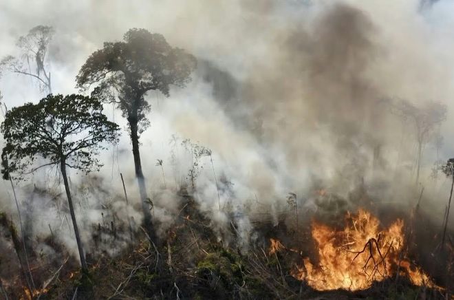 Дым от пожаров в Амазонии распространился по всему Южному полушарию