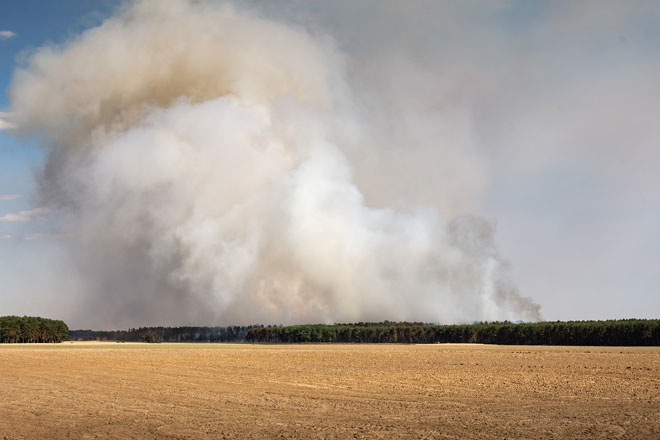 В Украине на 25-28 августа объявлена чрезвычайная пожароопасность