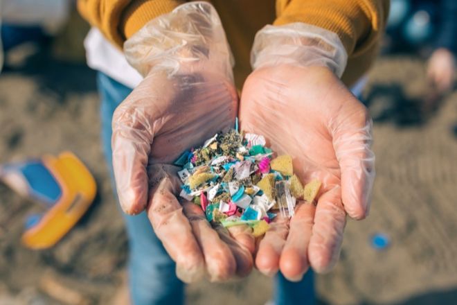 Ученые выявили на Мальдивах самое высокое на Земле загрязнение микропластиком