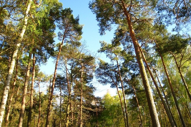 В Украине до 14 сентября сохранится чрезвычайный уровень пожарной опасности