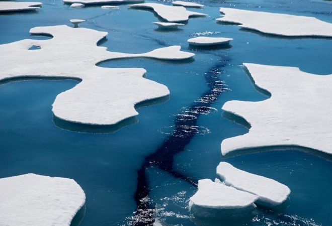 Морской лед в Арктике растаял до второго самого низкого уровня за все время наблюдений