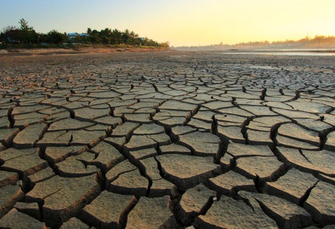 В отдельных частях США зафиксированы наихудшие условия засухи за 7 лет