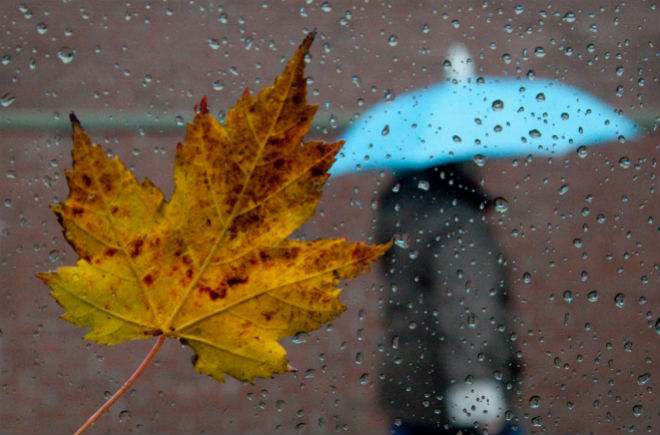 В Украине 17 октября ожидается ухудшение погодных условий 