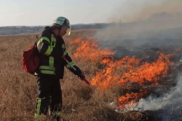 Под Луганском ликвидировали очаги пожаров (фото, видео)
