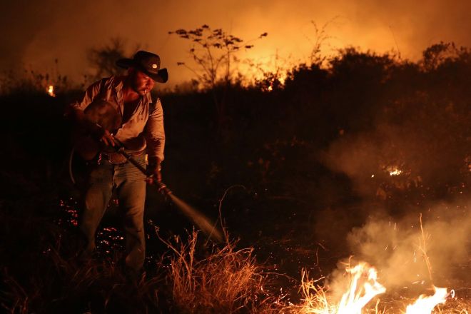 В лесах Бразилии горят крупнейшие пожары за десятилетие