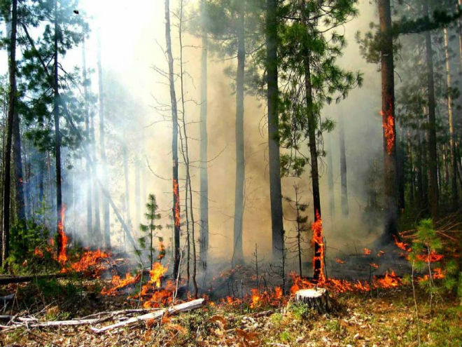 В ряде областей Украины 15-17 октября сохранится чрезвычайная пожароопасность 