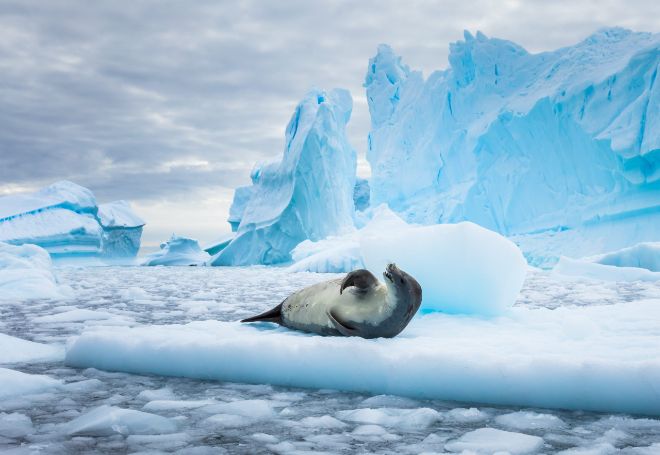 Теплые «воздушные реки» создают во льдах Антарктики полыньи размером со штат