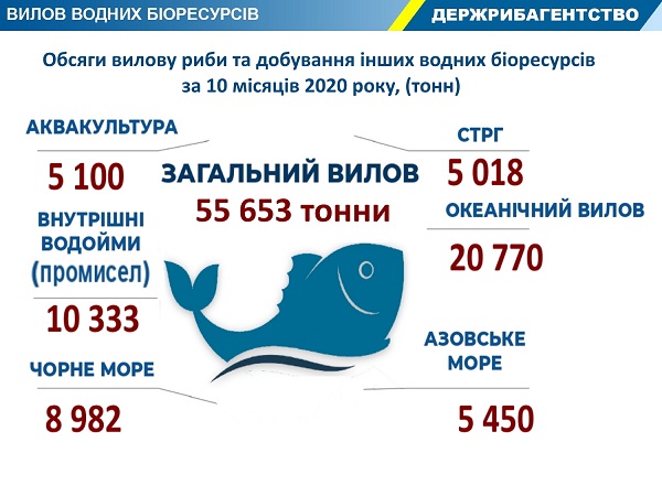 В Украине вылов рыбы сократился на 16,6%