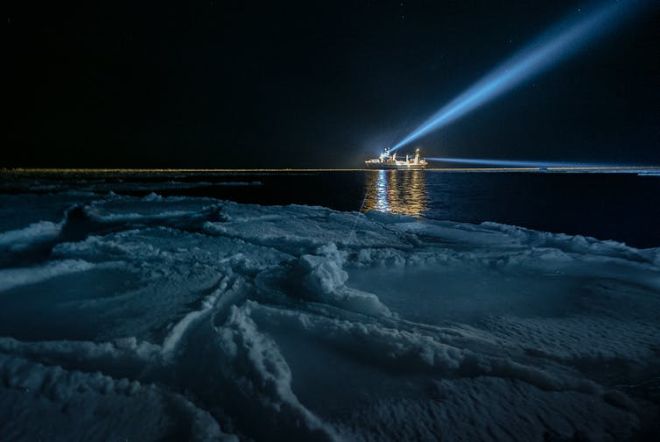 С потеплением в Арктике стало больше света и новых видов – исследование