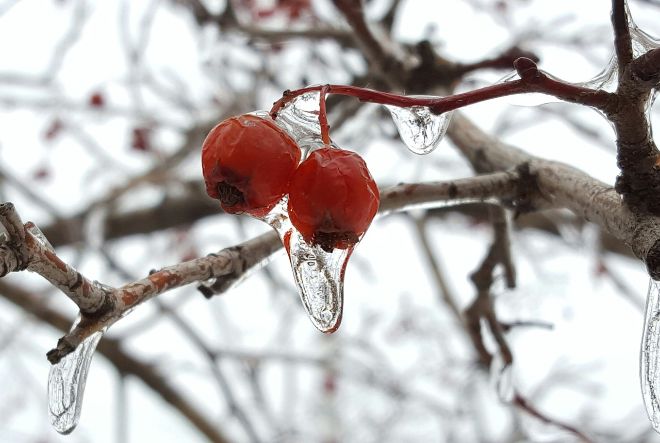 Погода в Украине 12 декабря: местами дожди со снегом, на дорогах гололедица