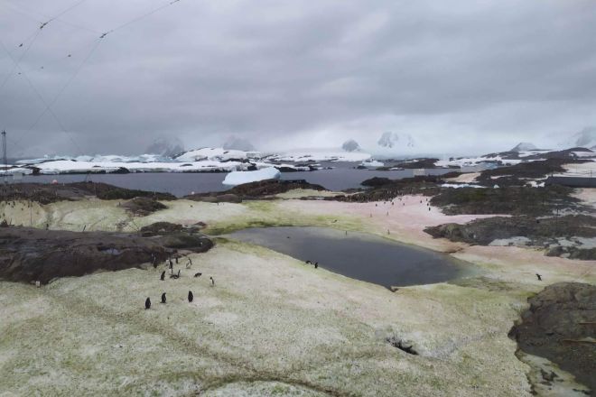 Исследовательскую станцию «Академик Вернадский» в Антарктиде окружает цветной снег