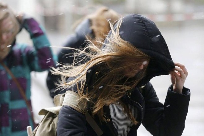 Жителей Киева предупреждают об усилении ветра 14 февраля