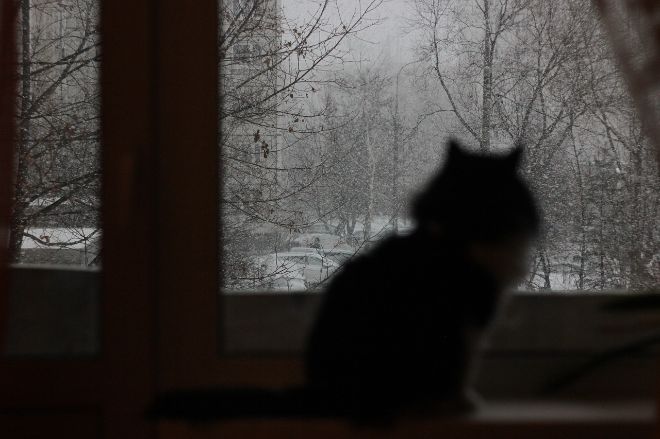 5 февраля в Украине пройдут дожди с мокрым снегом