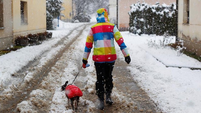 Вторжение активного циклона принесет в Украину сильный снег и мощный ветер