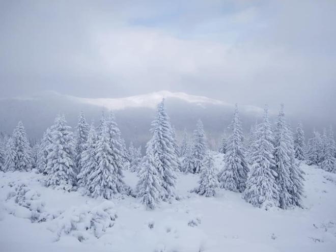 «Желтое» предупреждение: значительный снег и мощный ветер в Карпатах