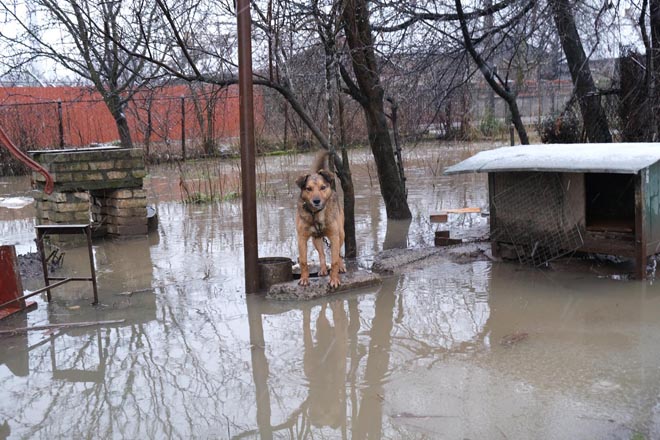 Жителям Волынской области угрожают подтопления из-за паводка на реке Стыр