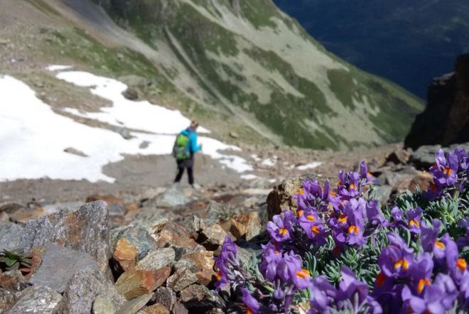 ГСЧС предупреждает о высоком риске схода лавин в горах Закарпатской области