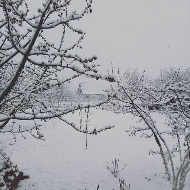 На Киевщине выпал снег