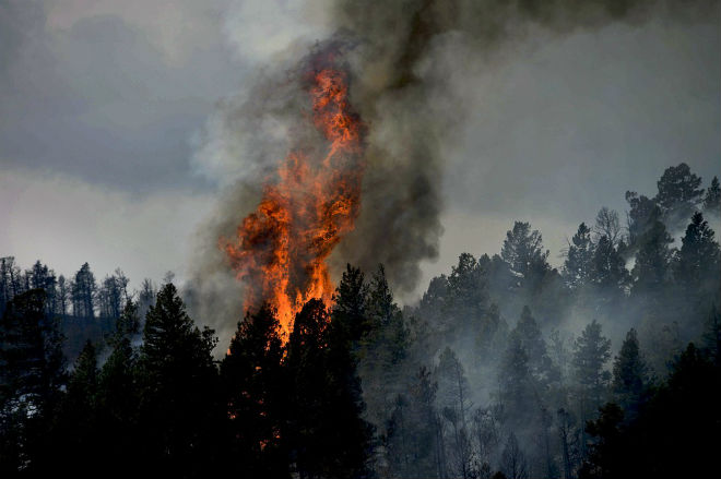 В 5 областях Украины объявлен чрезвычайный уровень пожарной опасности