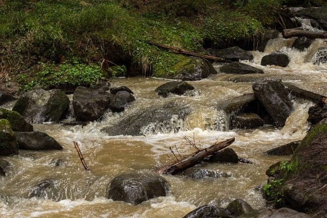 Из-за дождей во Львовской и Ивано-Франковской областях ожидается подъем уровня воды в реках