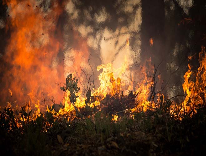 23 мая в ряде областей Украины объявлен чрезвычайный уровень пожарной опасности
