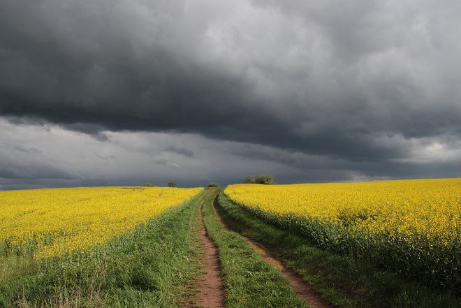 Грозы, град и шквалы: в Украине объявили «желтое» метеорологическое предупреждение 